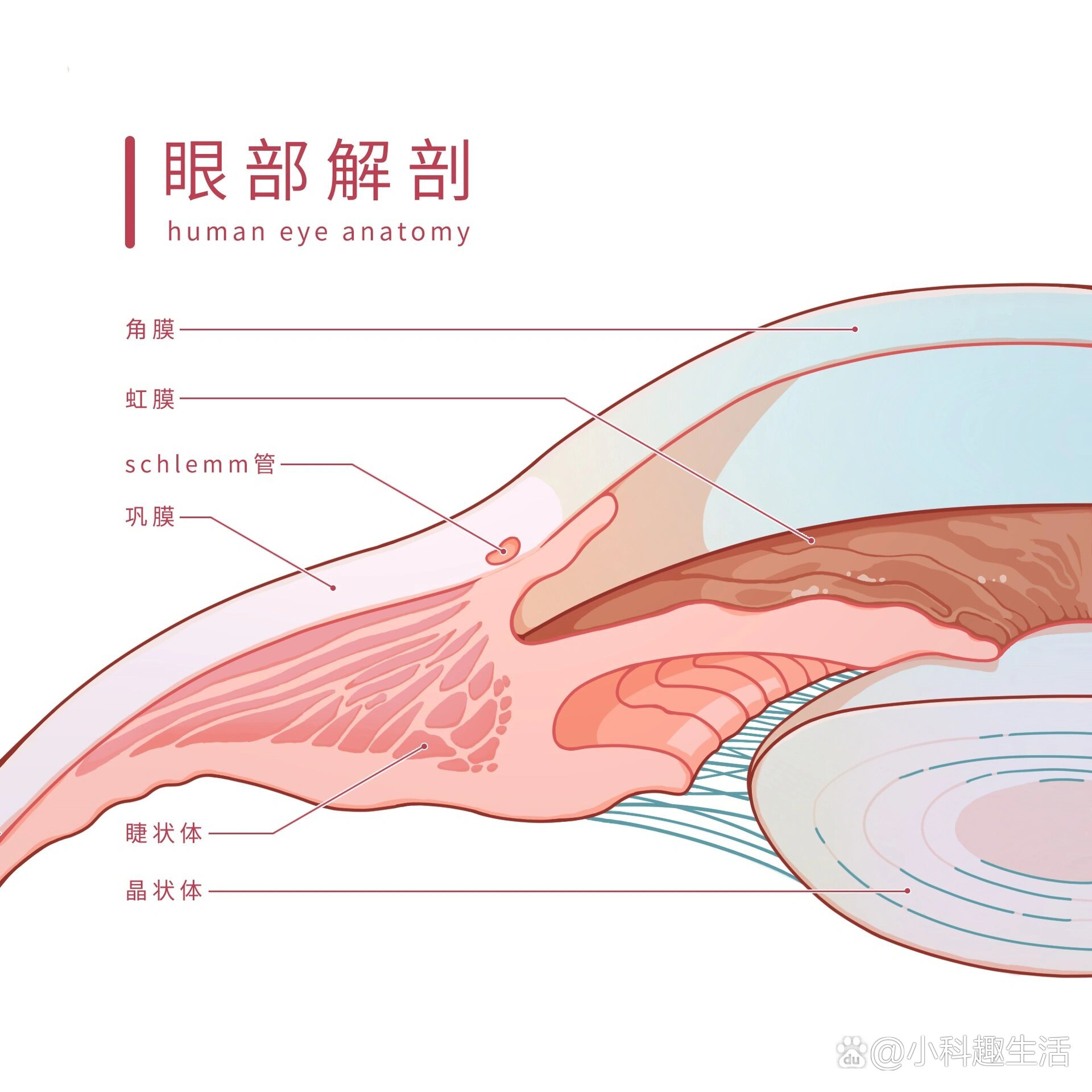 眼科医生下班绘图之