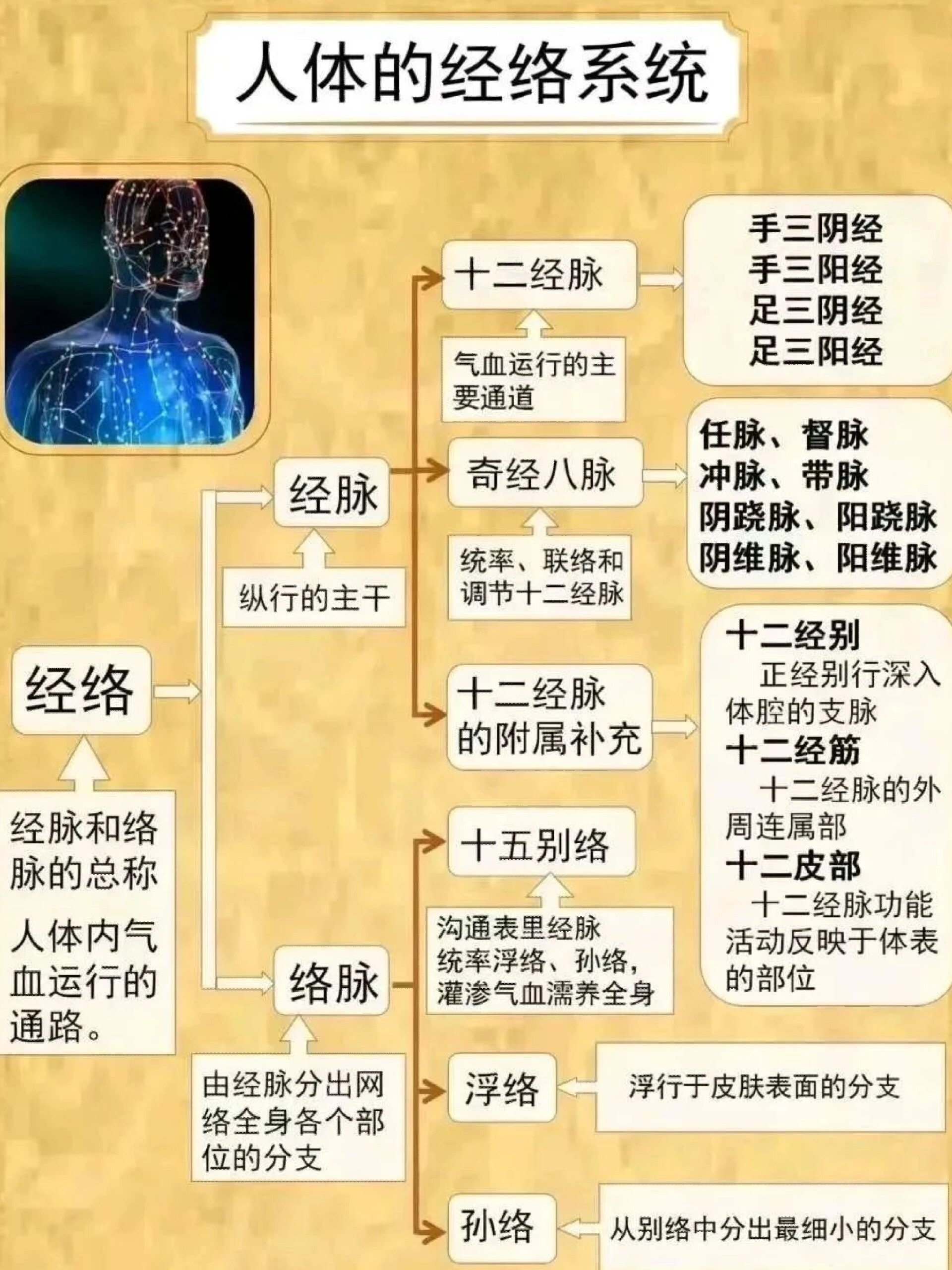 人体经络系统最全概览图