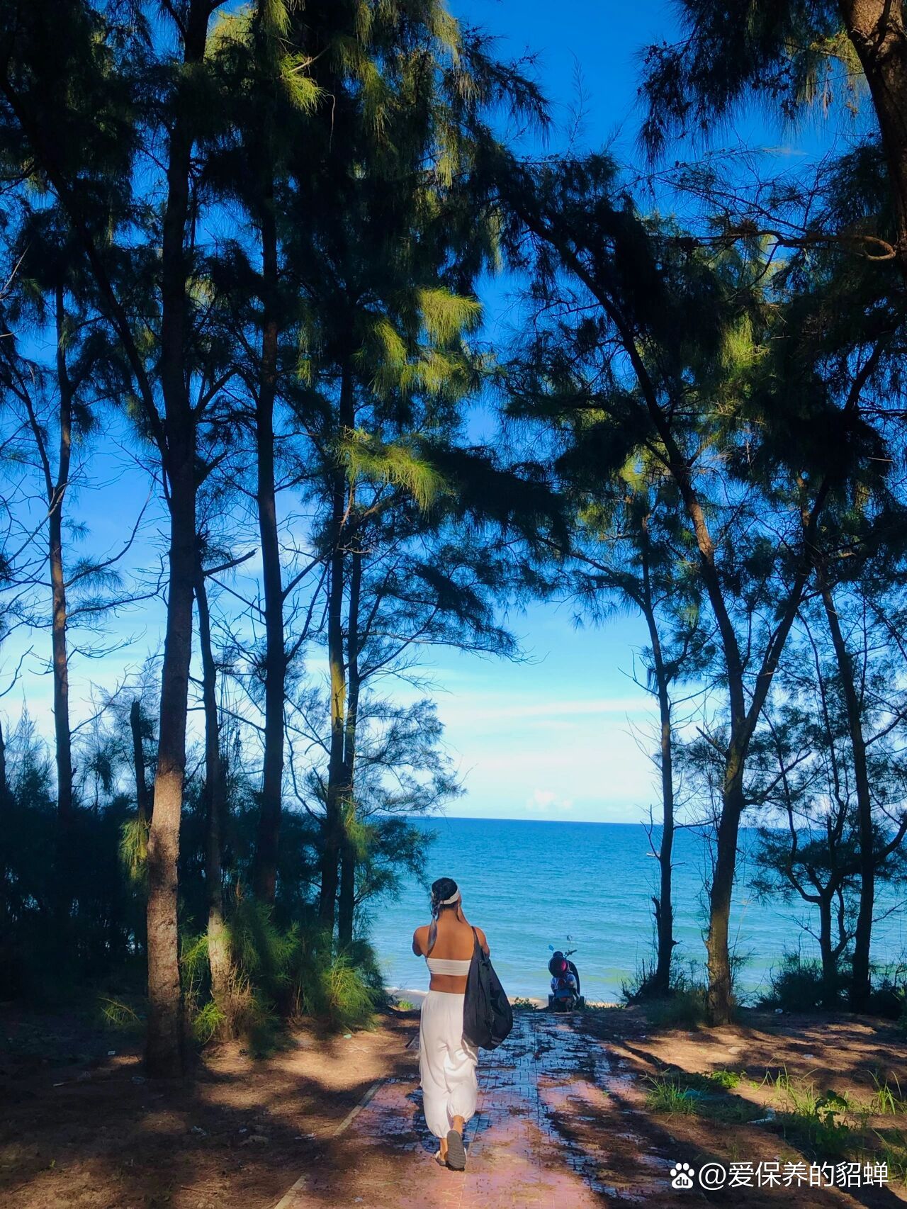 关于室外美黑73