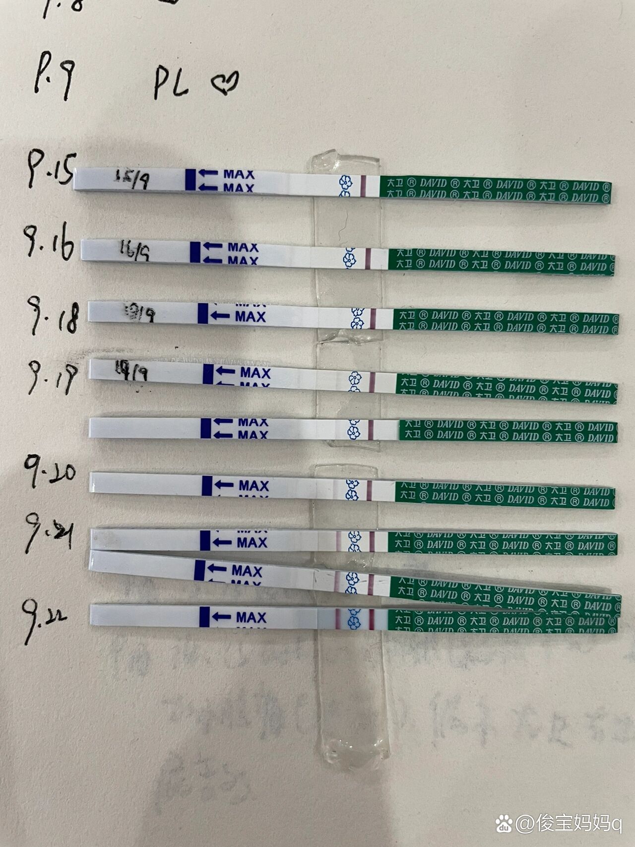 排卵试纸加深好孕图图片