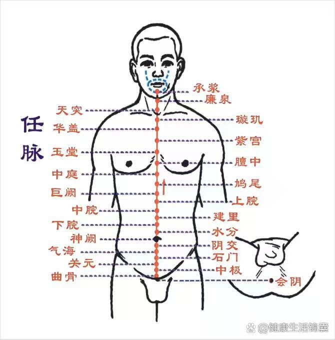 中腕准确位置图 图图片