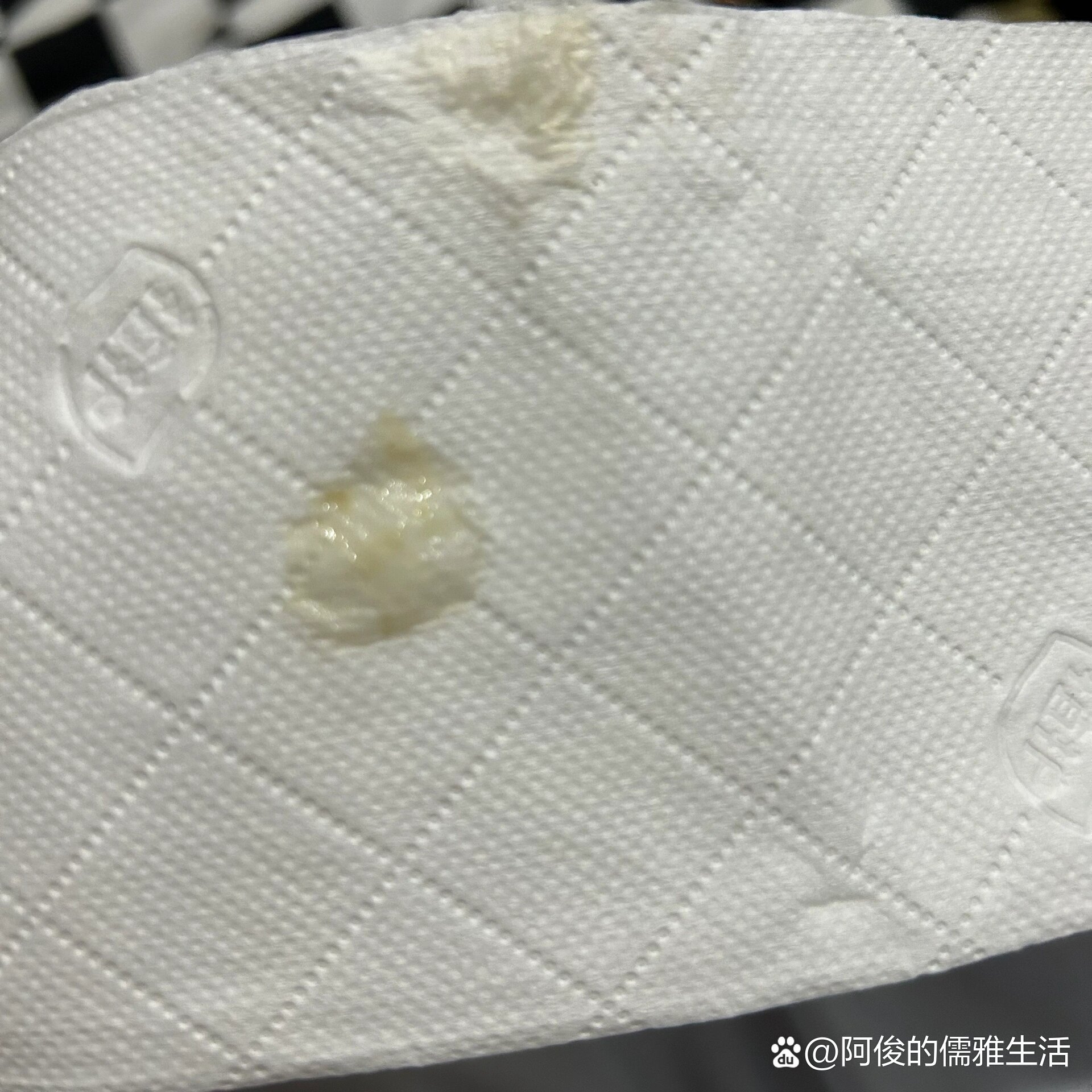 奶猫拉白色乳状物质图片