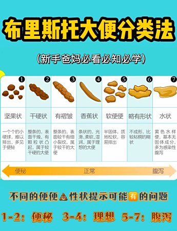 宝宝便便类型与健康状态对照表📊