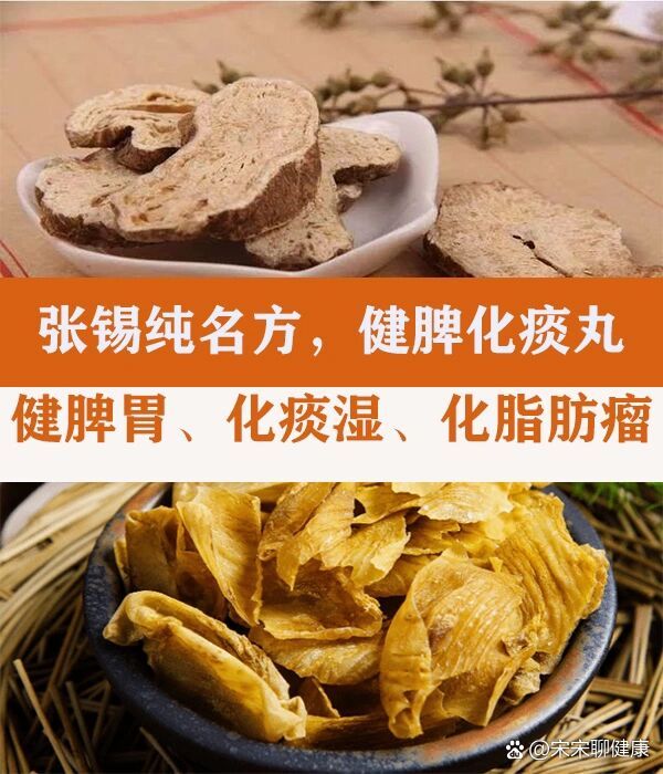 健脾化痰丸(张锡纯方)图片