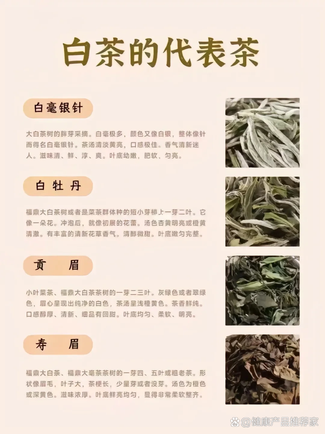 白茶的功效与作用