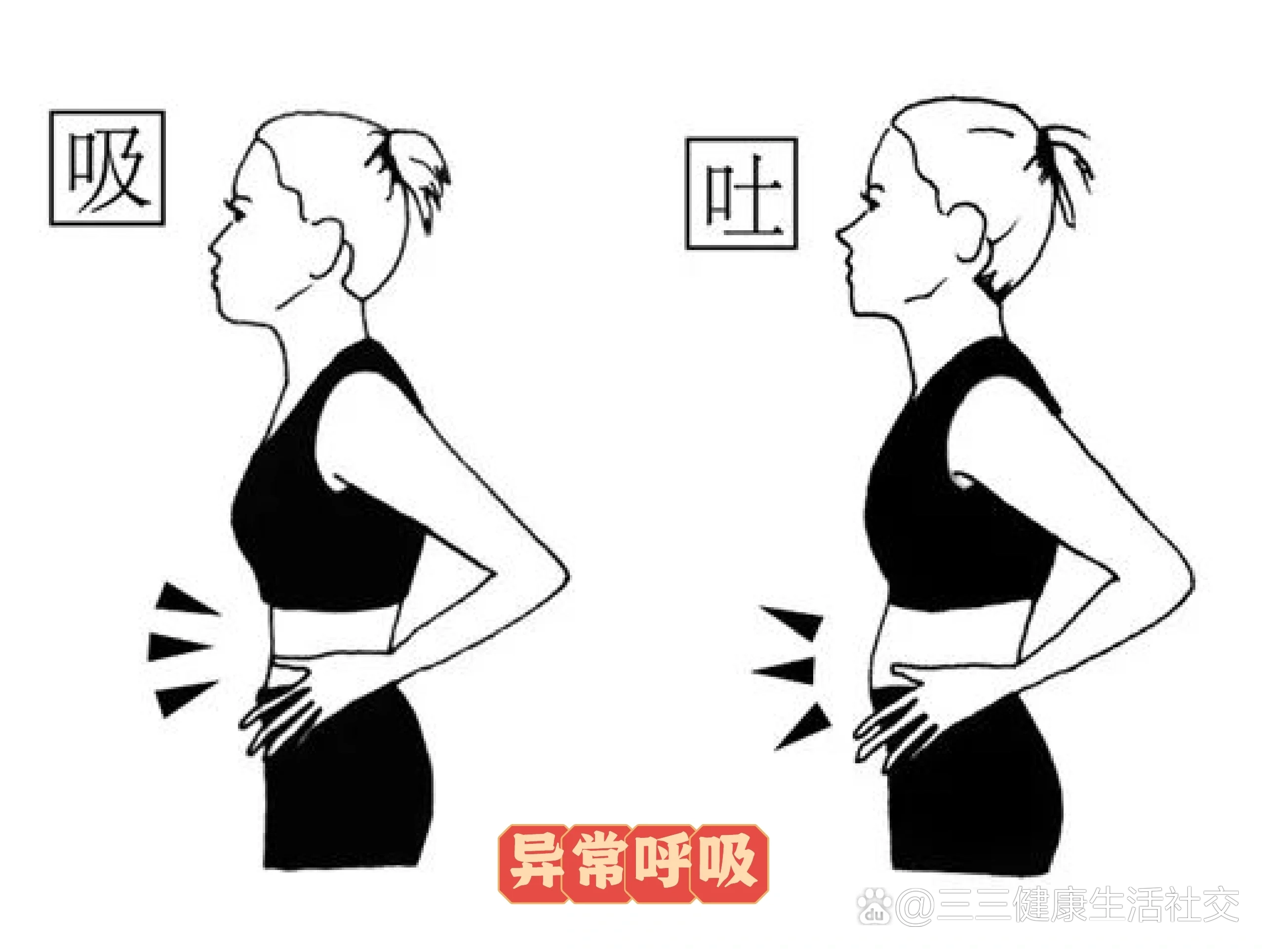 知识分享——正确呼吸&异常呼吸