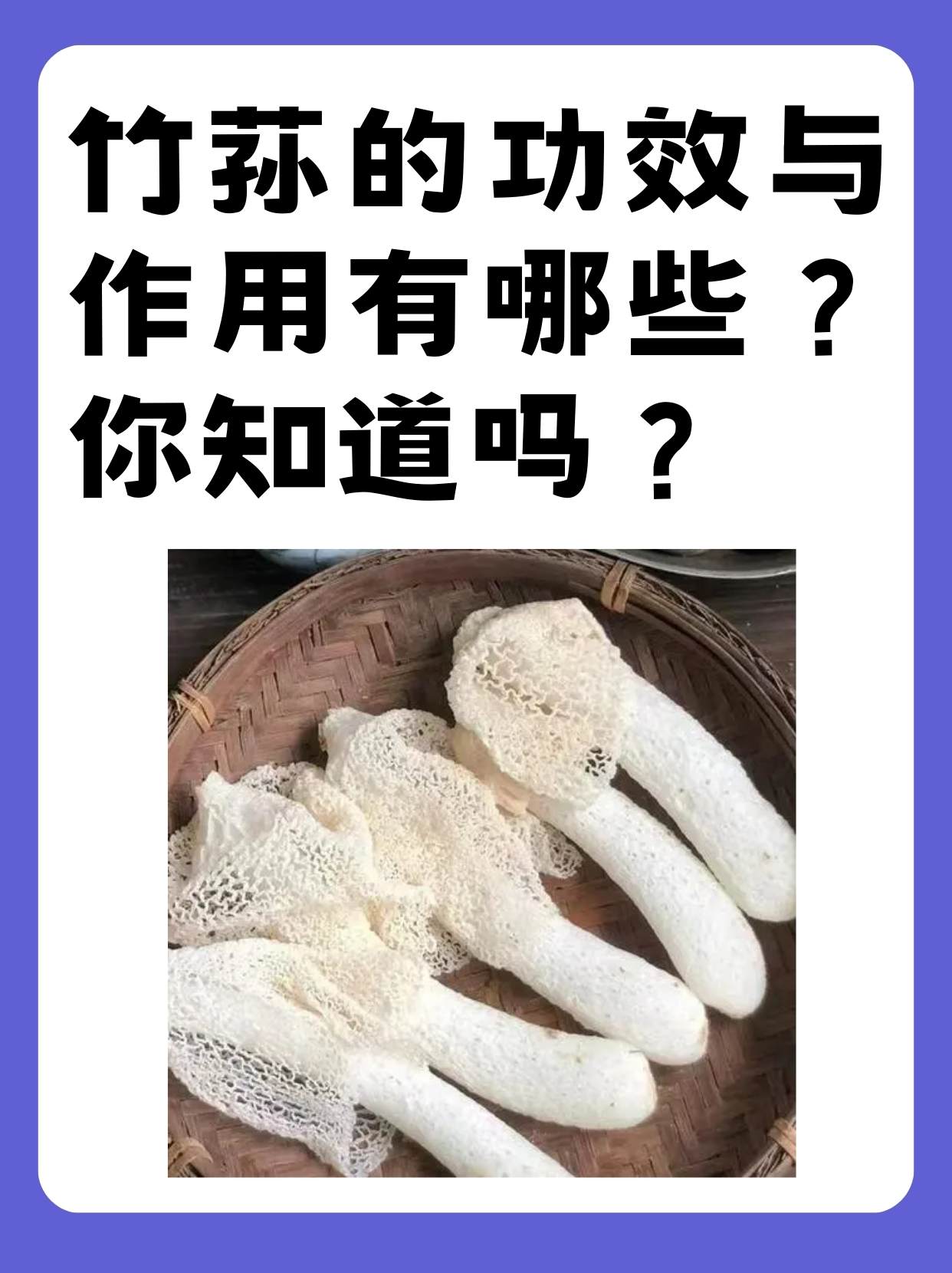 竹荪图片功效与作用图片