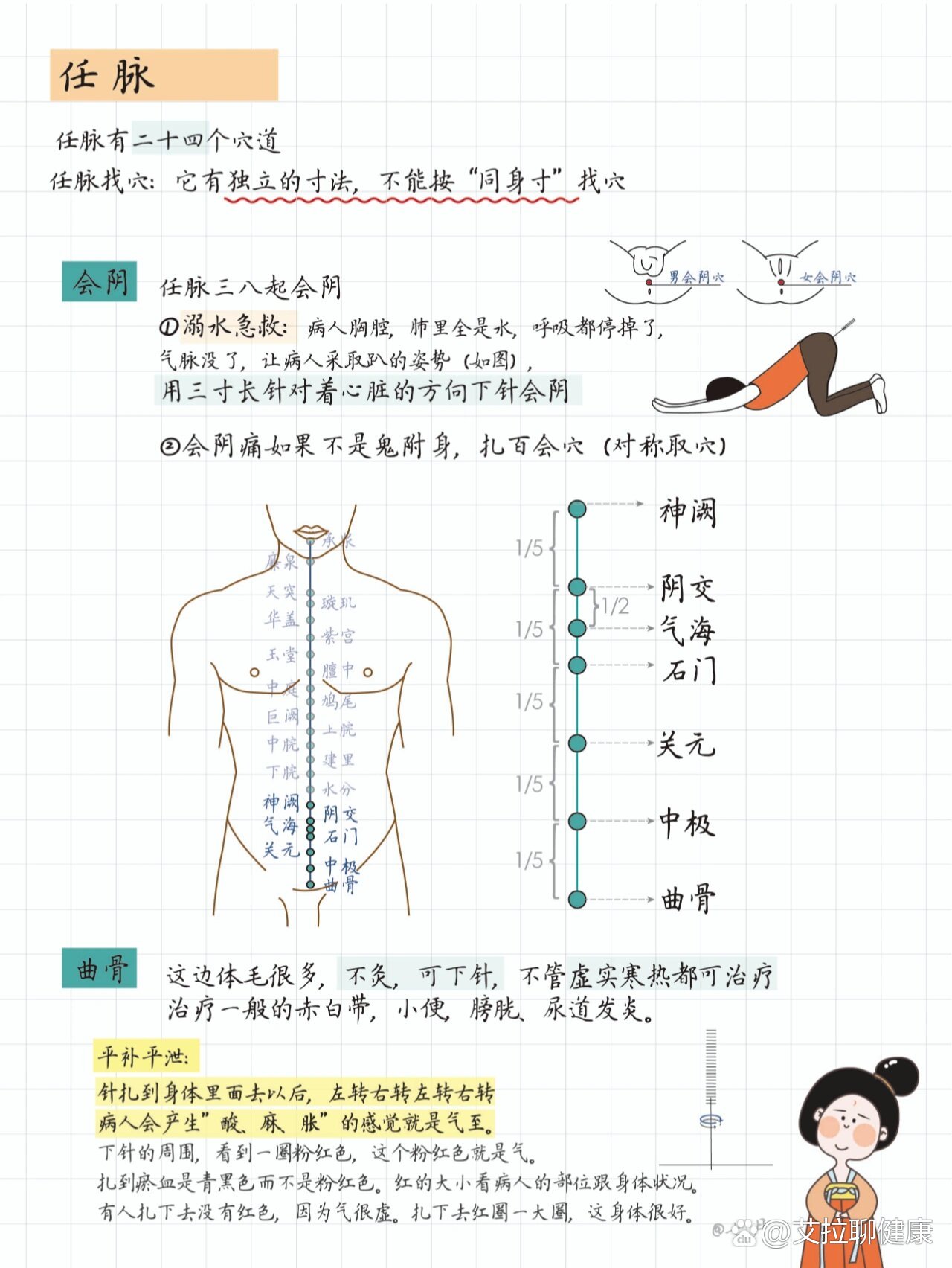 针灸同身寸全身体表图片