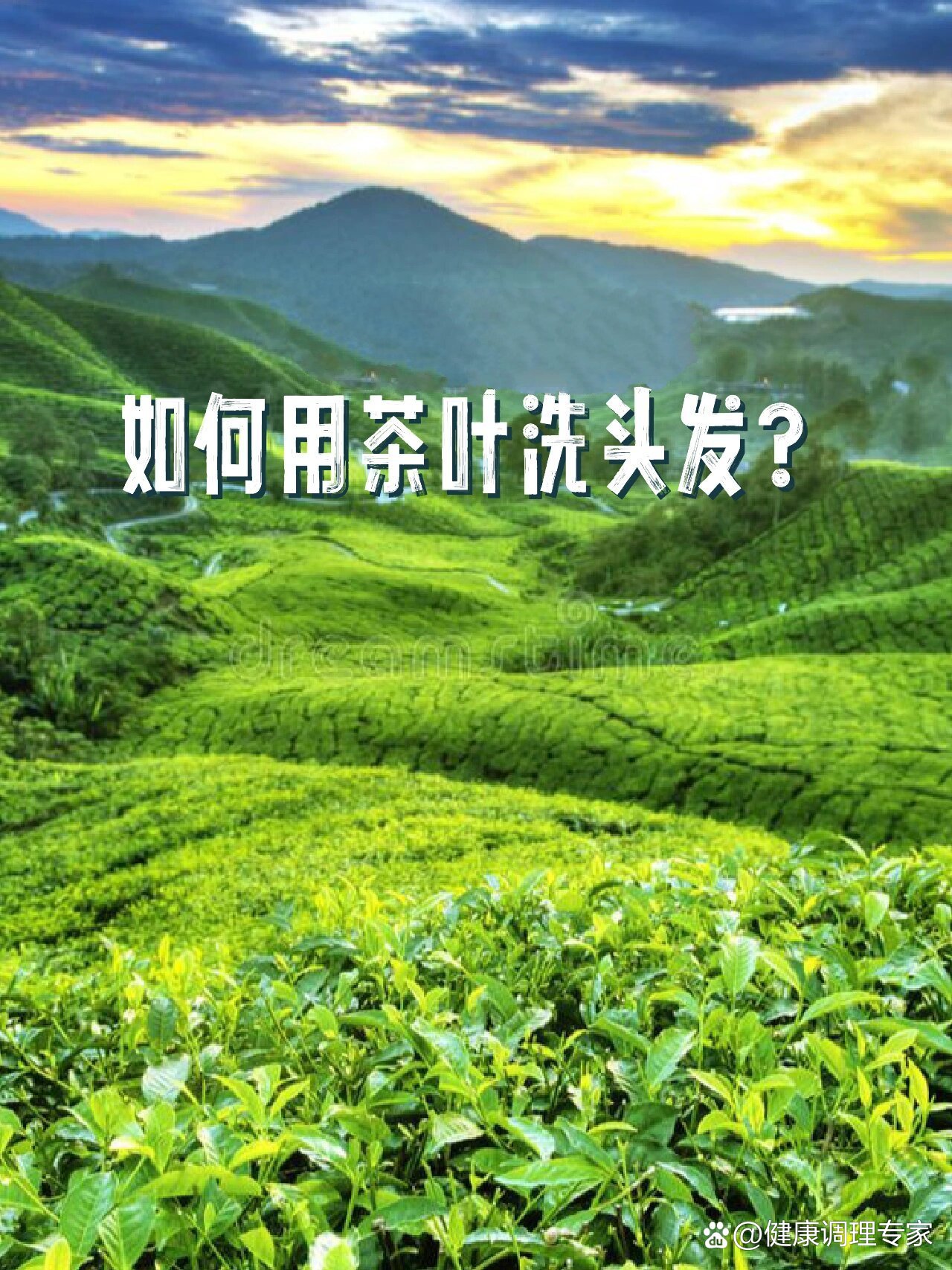 植发广告茶叶广告(植发广告茶叶广告文案)