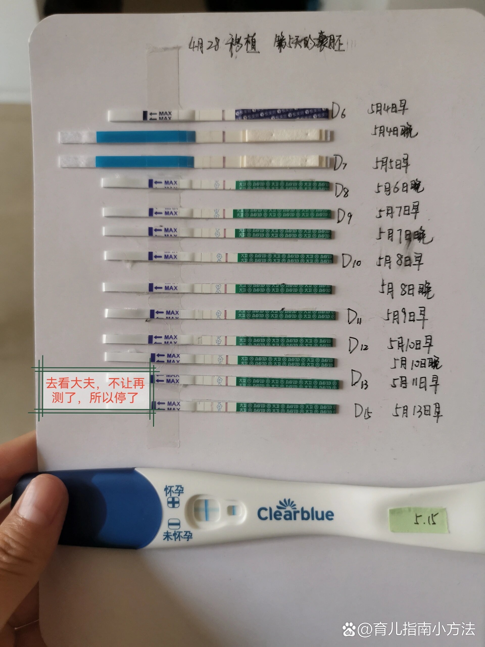 囊胚移植14天试纸图片图片