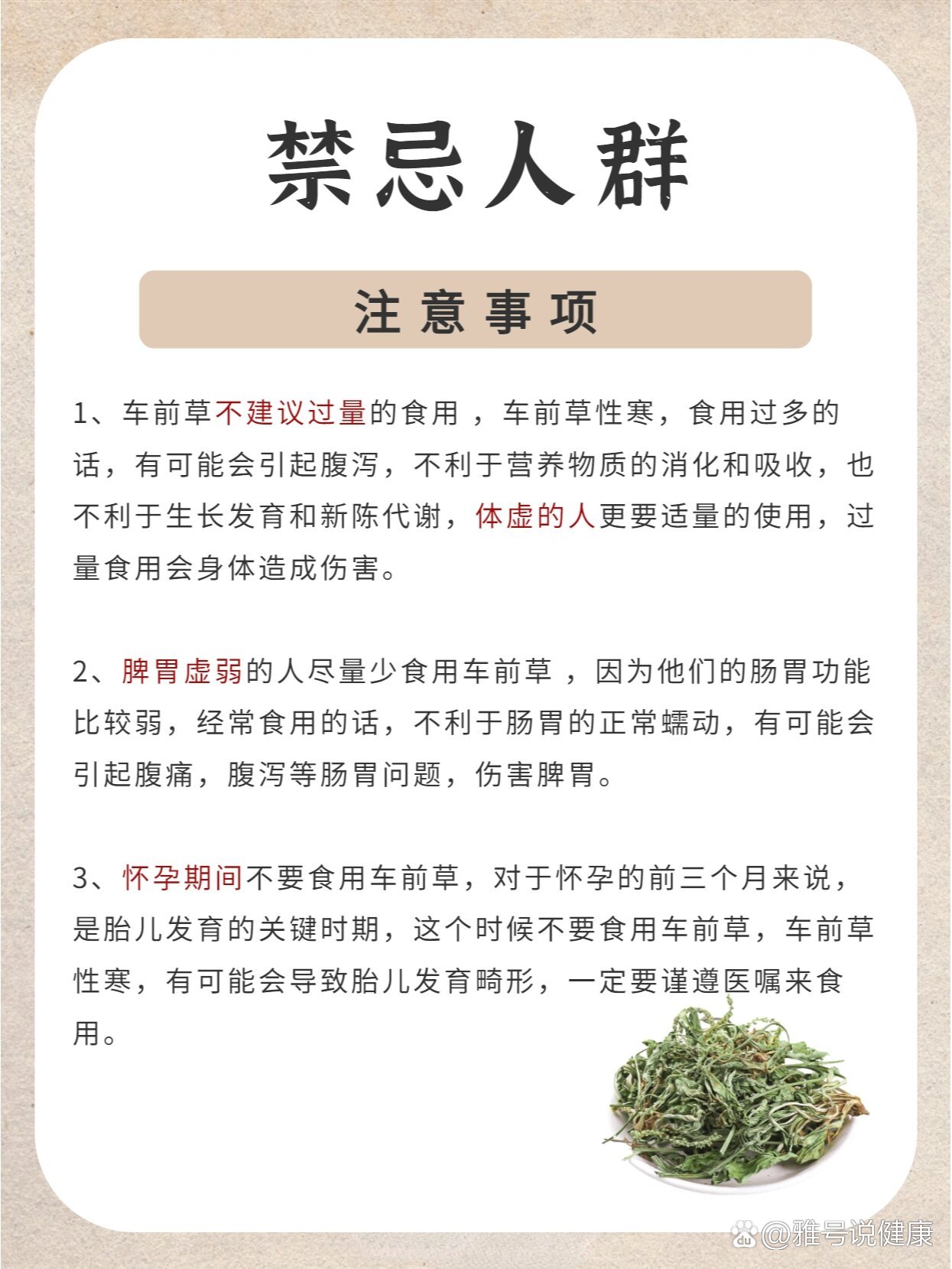 车前草的禁忌功效图片