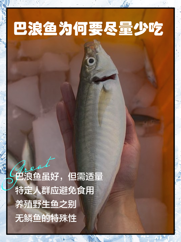 巴浪鱼为何要尽量少吃
