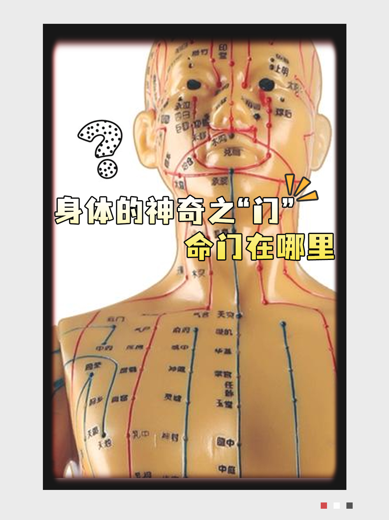 人体命门的准确位置图图片