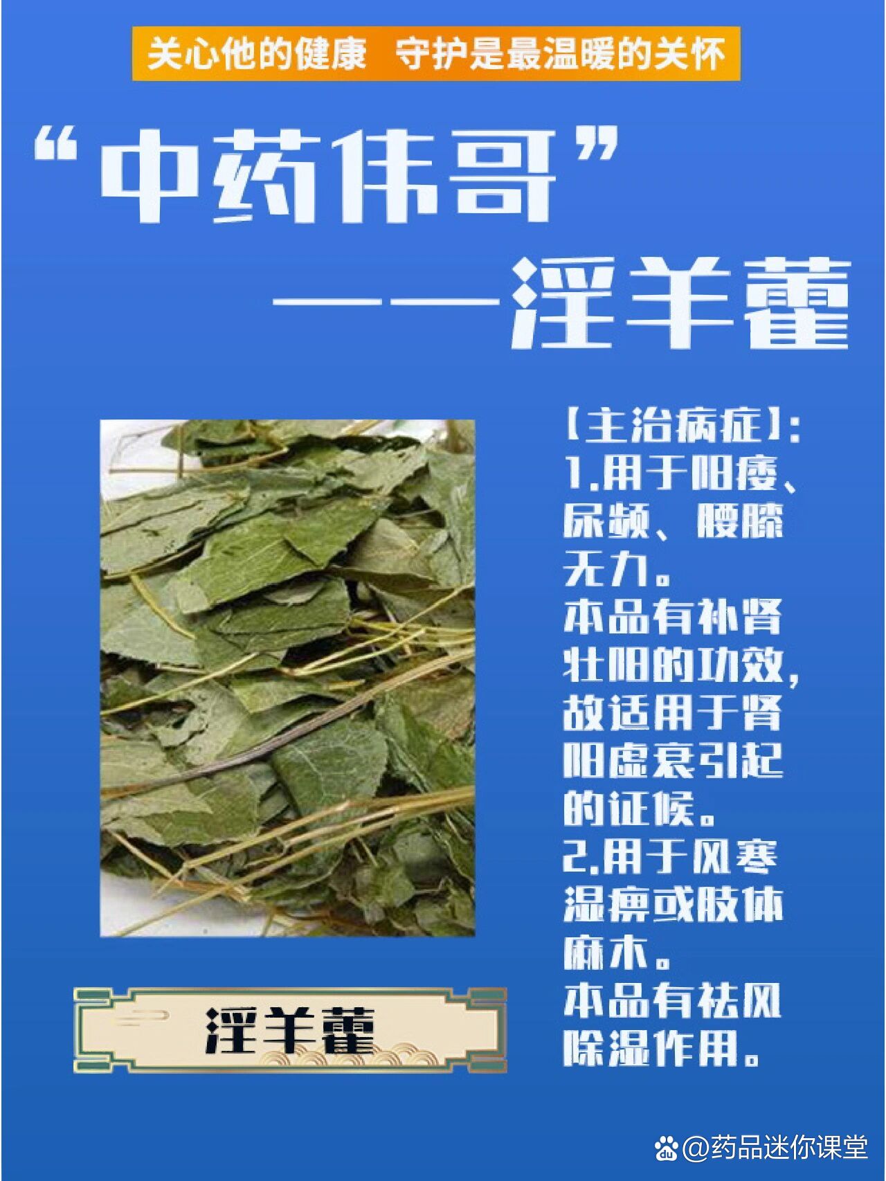 "中药伟哥"——淫羊藿