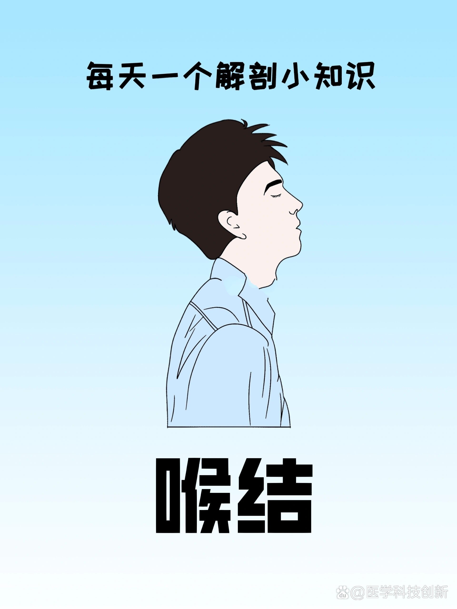 男生喉结画法侧面图片