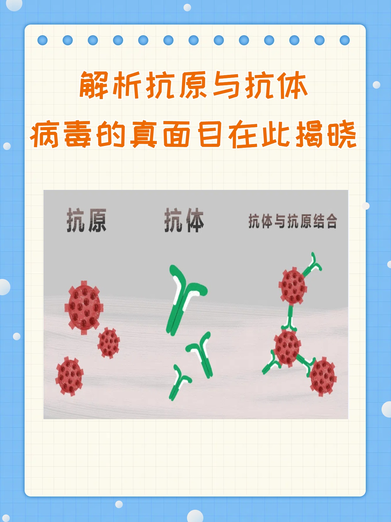 解析抗原与抗体:病毒的真面目在此揭晓