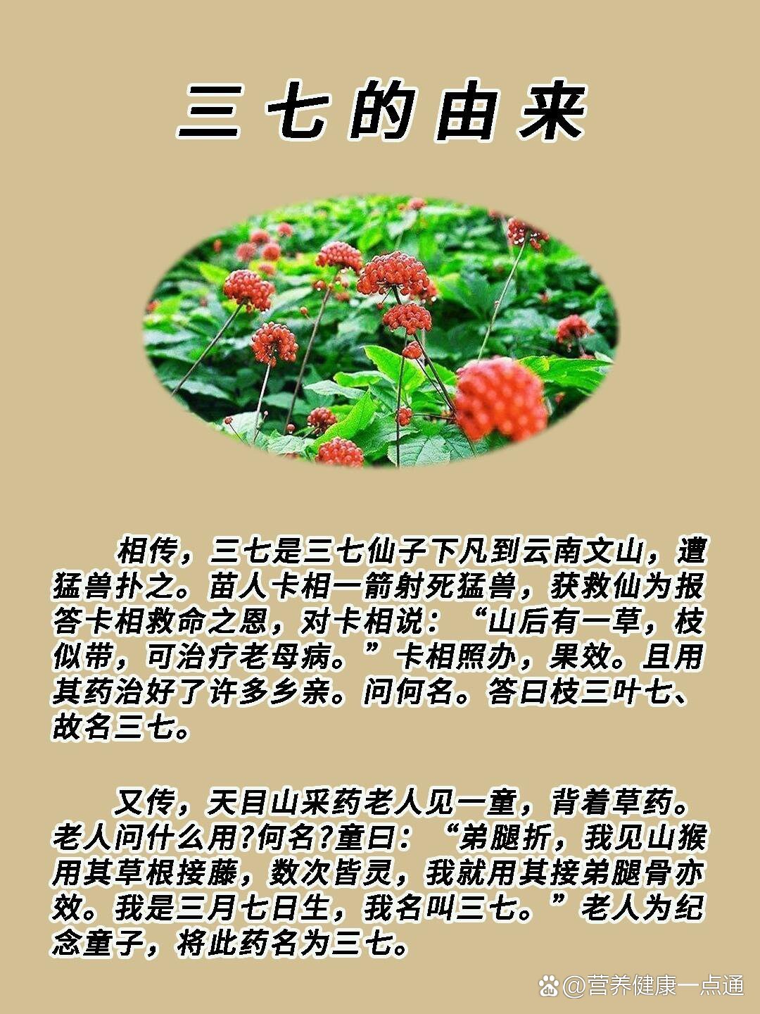 第二十七期61每天认识一味中药材