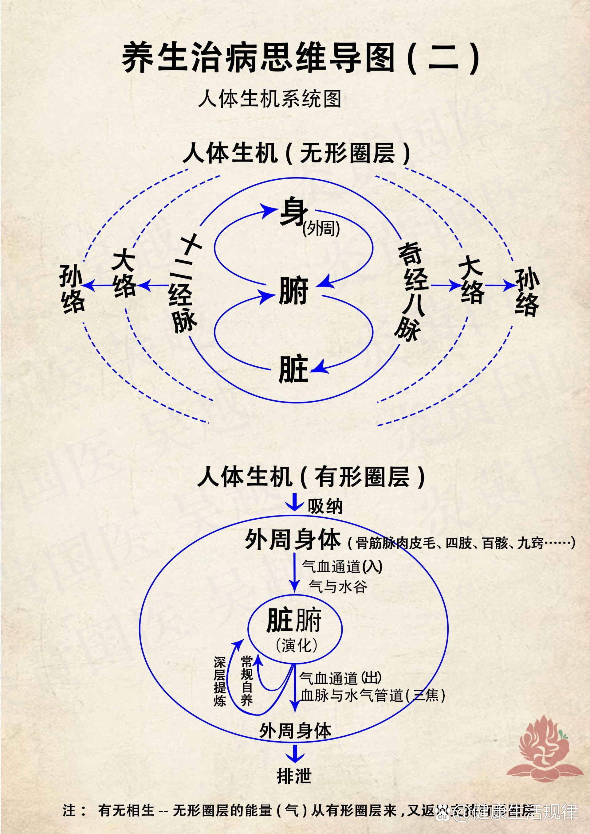 经络系统 十二经脉对应的十二皮部 br 导读语  br 人体是一个大系统套