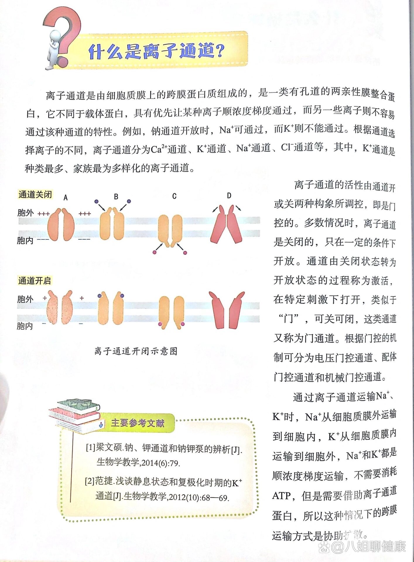 离子通道种类图片