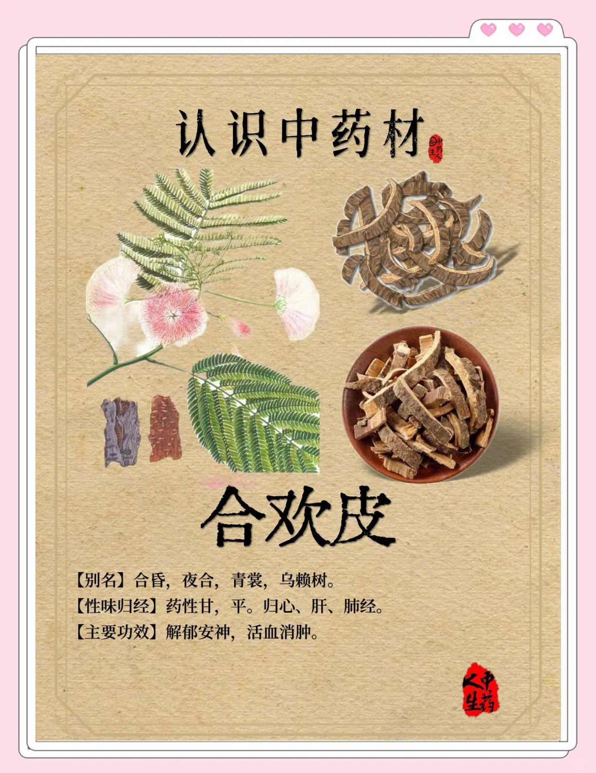 合欢皮的神奇功效与药用价值