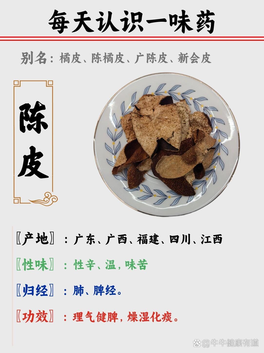 陈皮性味图片