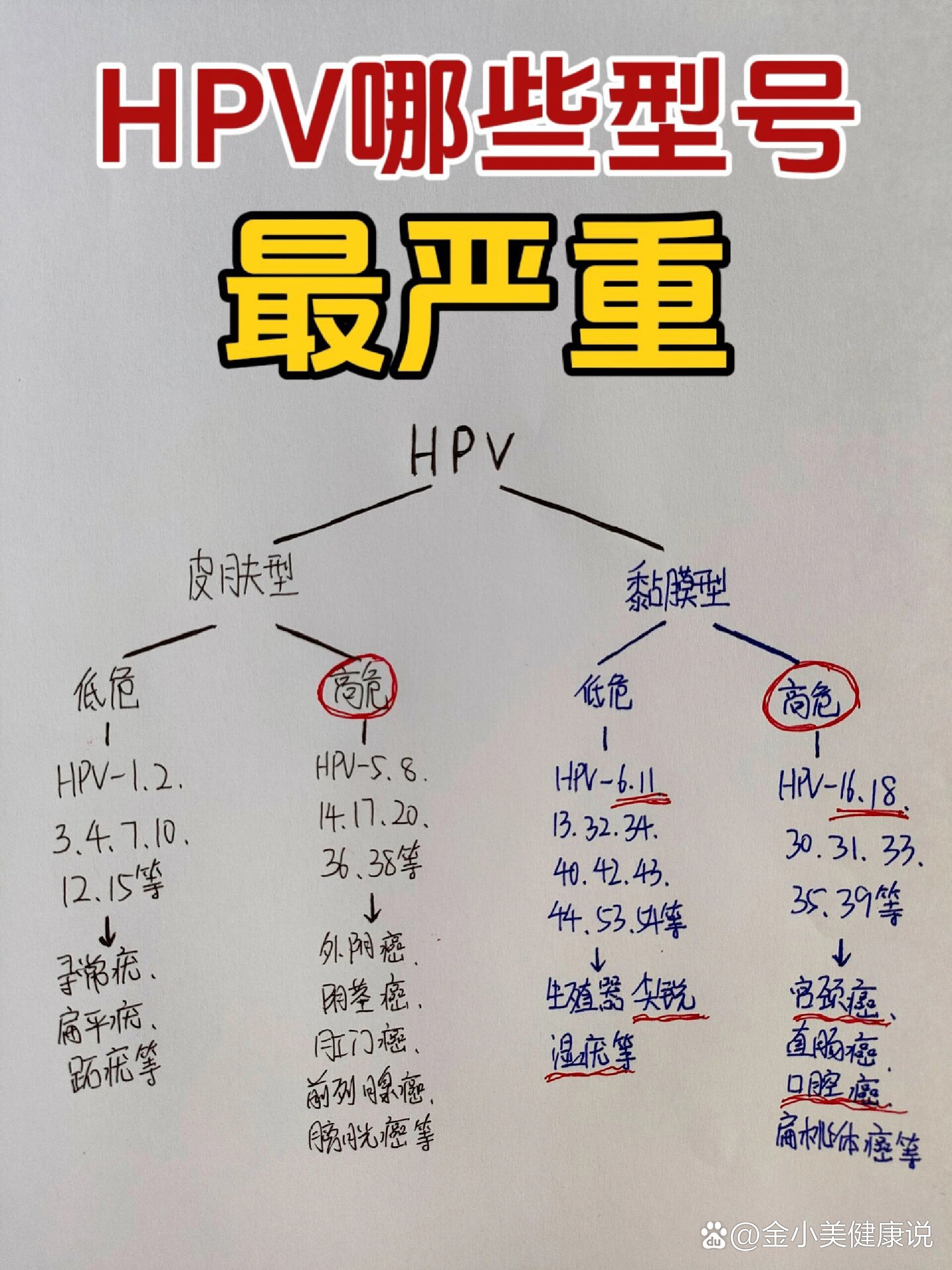 hpvdna图片