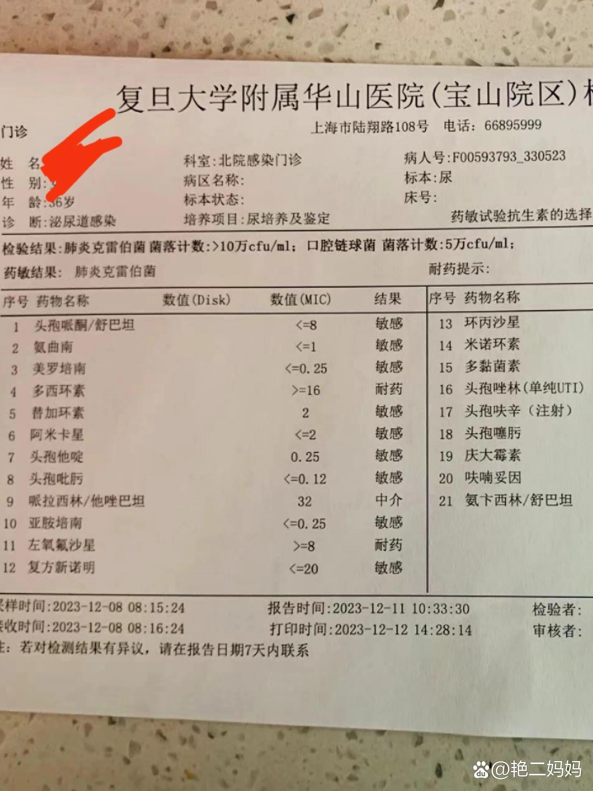 淋球菌报告图片