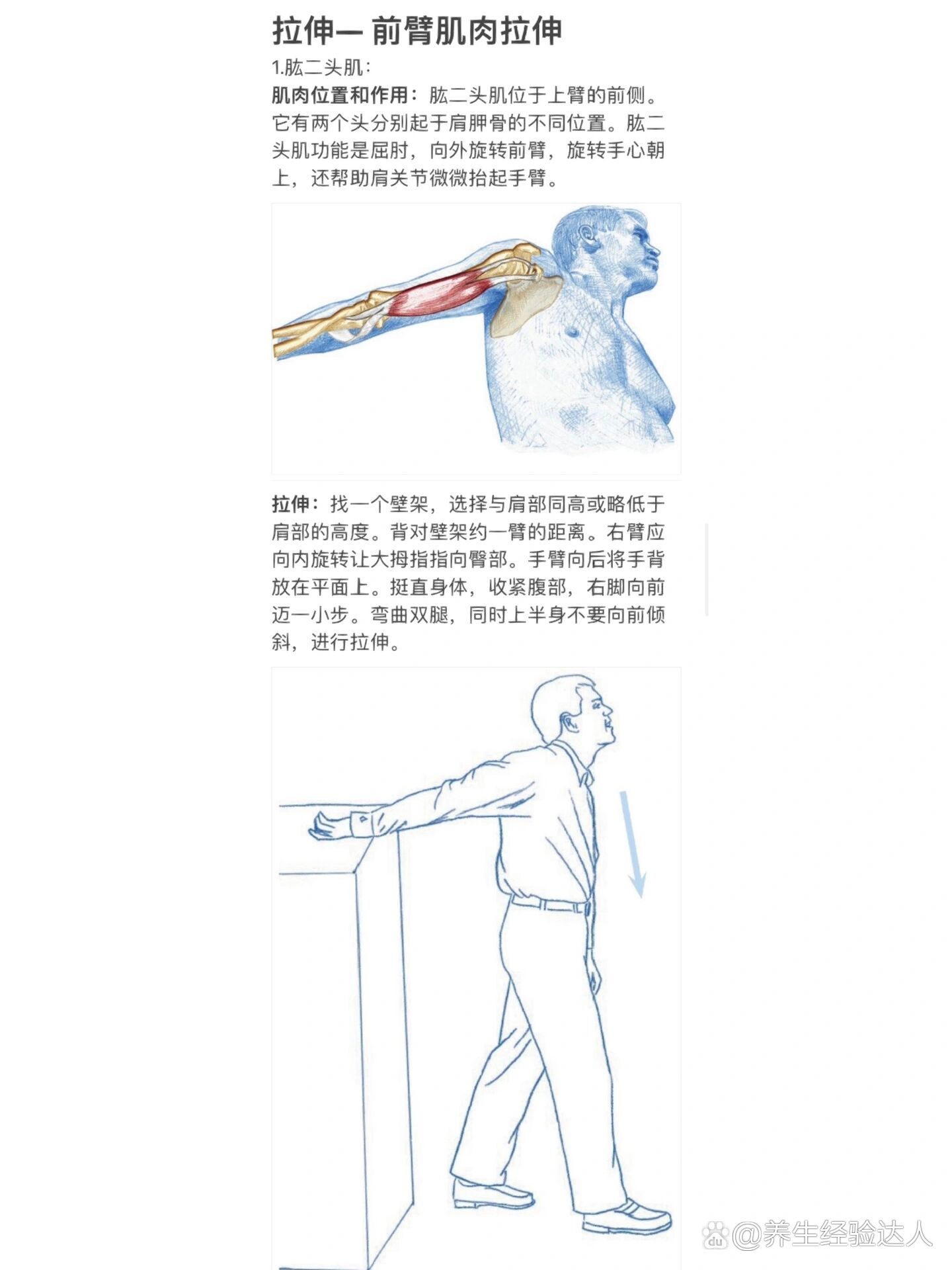 腕关节前屈后伸示意图图片