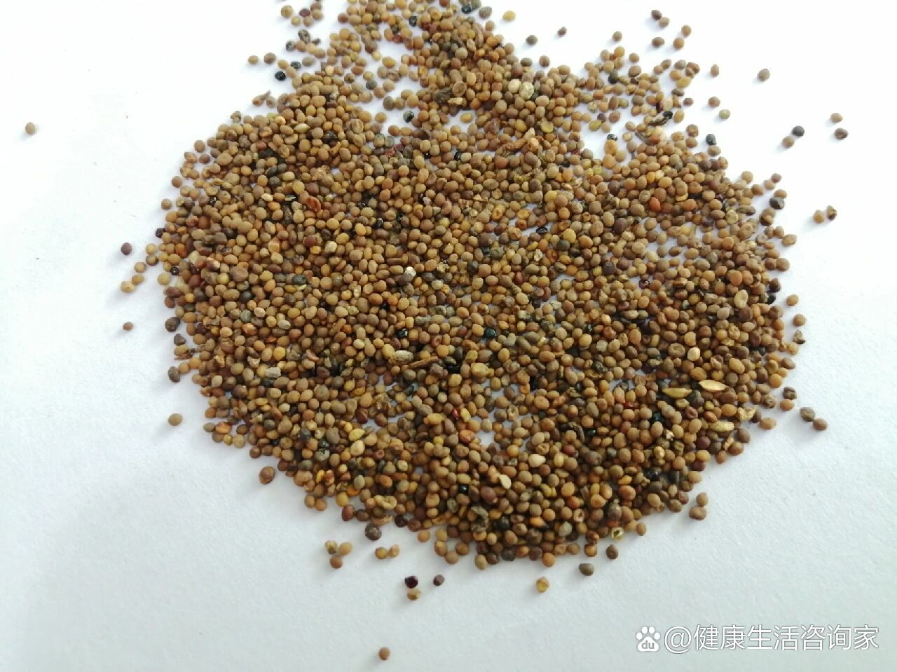 菟丝子