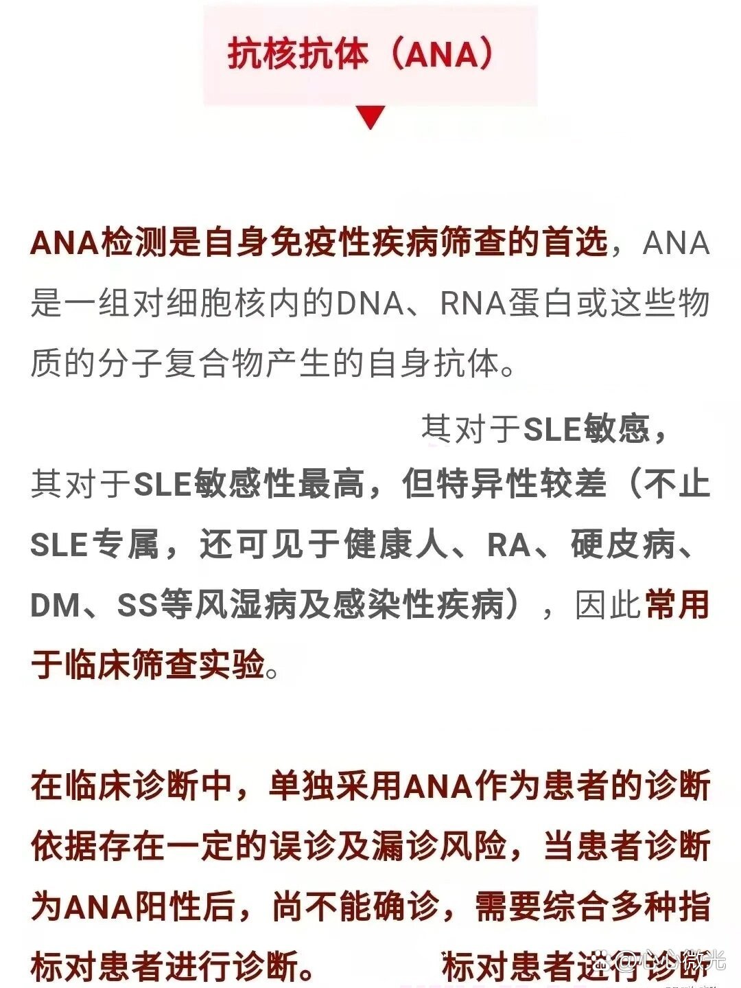 抗核抗体ana阳性?