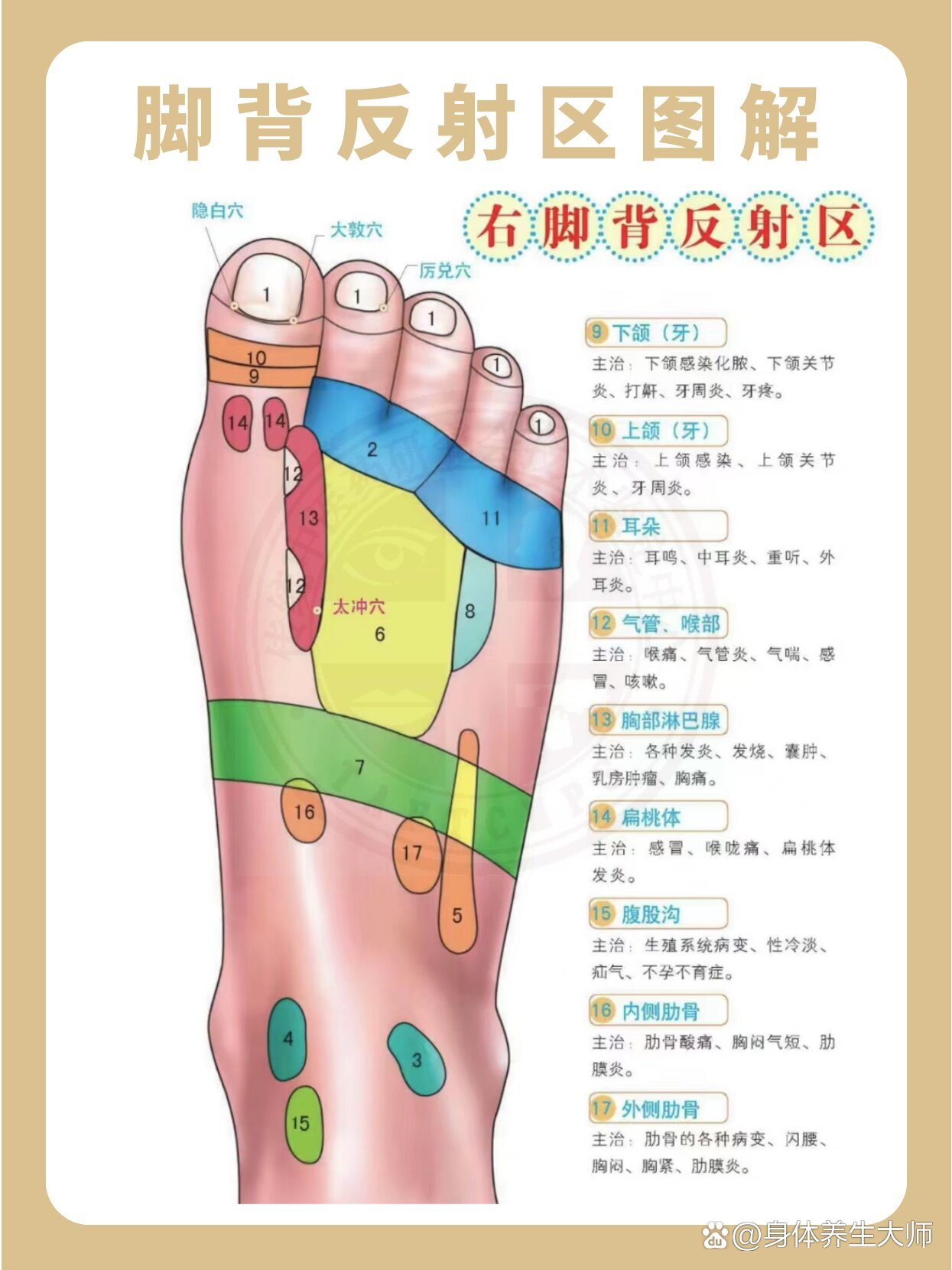 脚背位置图解图片