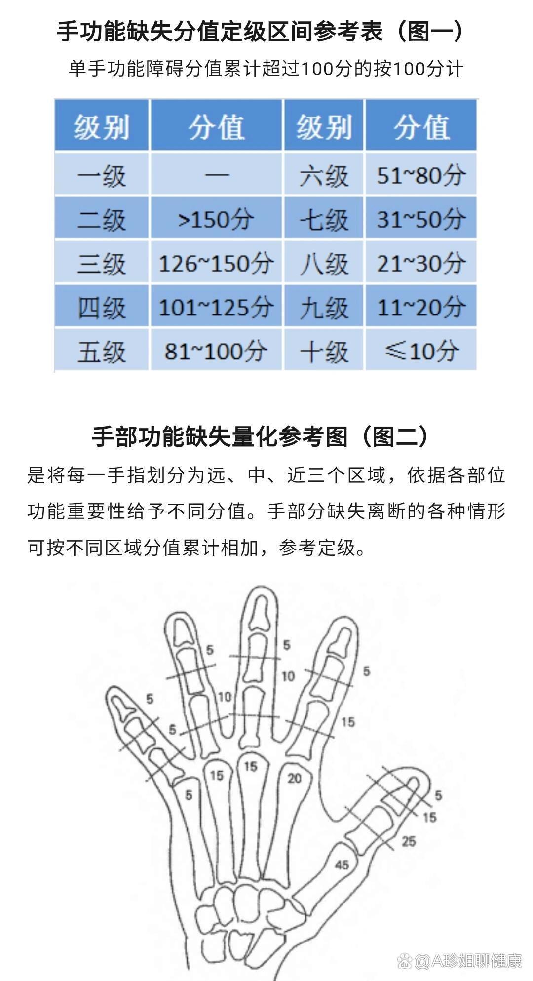 拇指对掌功能示意图图片