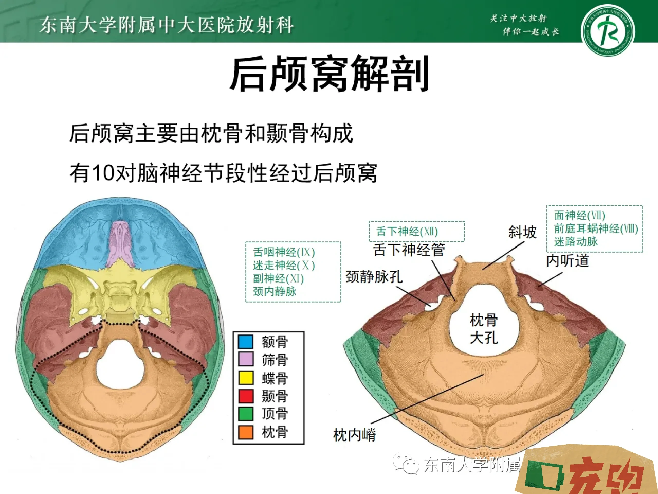 28 颅后窝