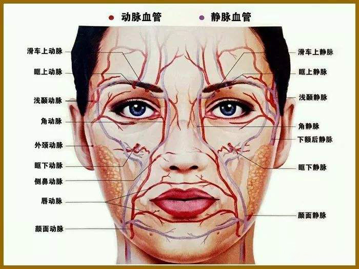 鼻基底栓塞图片图片