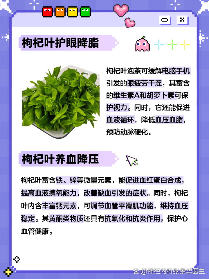 枸杞叶的功效与作用及禁忌