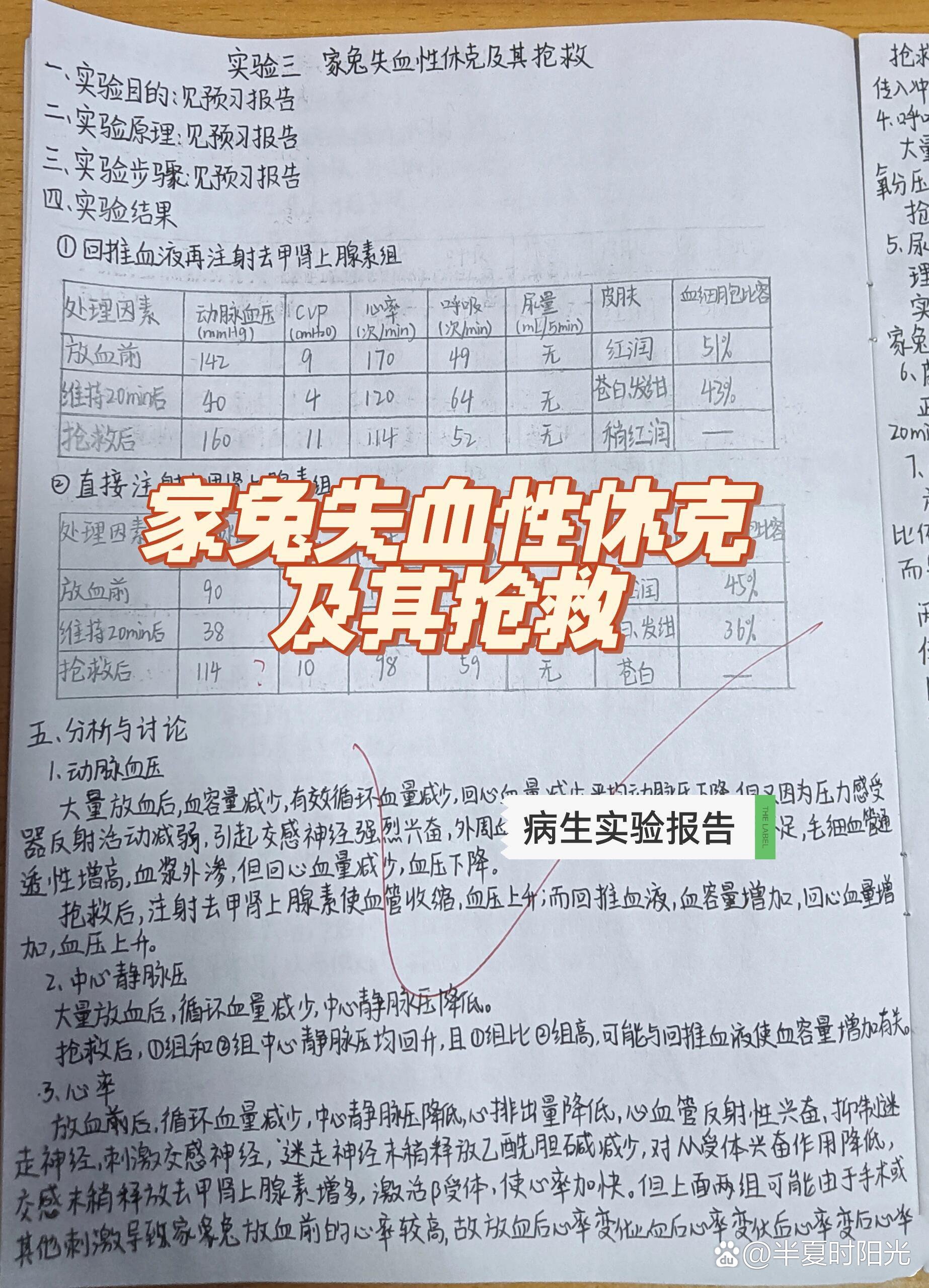 兔子休克图片