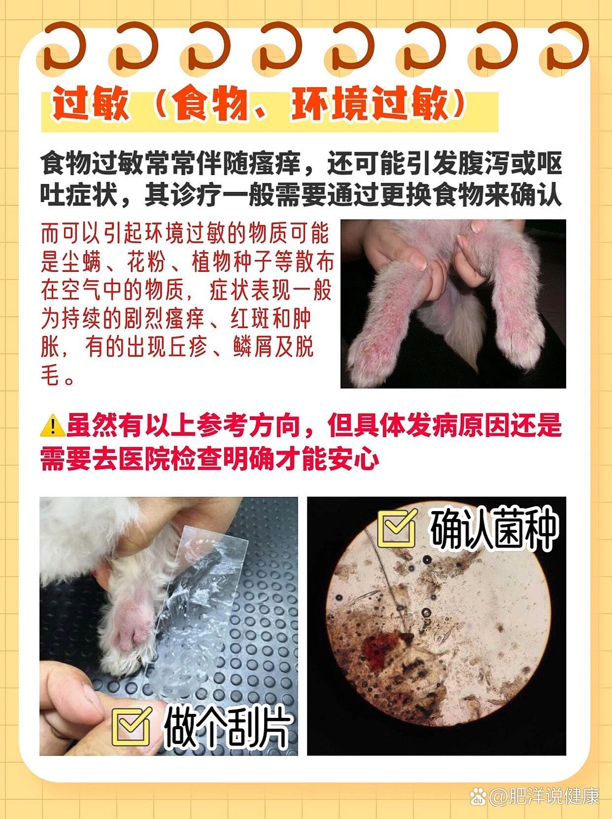 区分|治疗|多种狗狗常见皮肤病症6015
