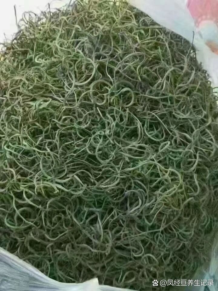 肾精茶(东北野生石茶)