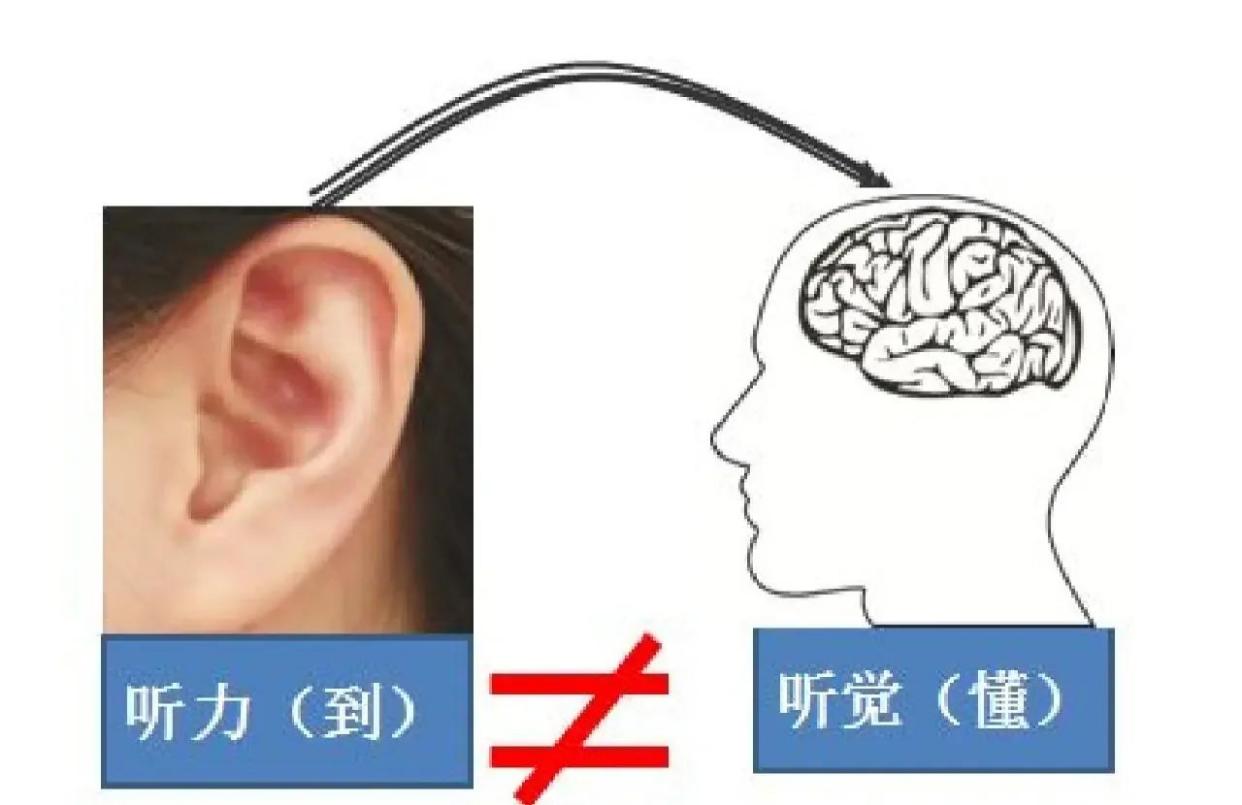 为什么能听到声音却听不清内容？