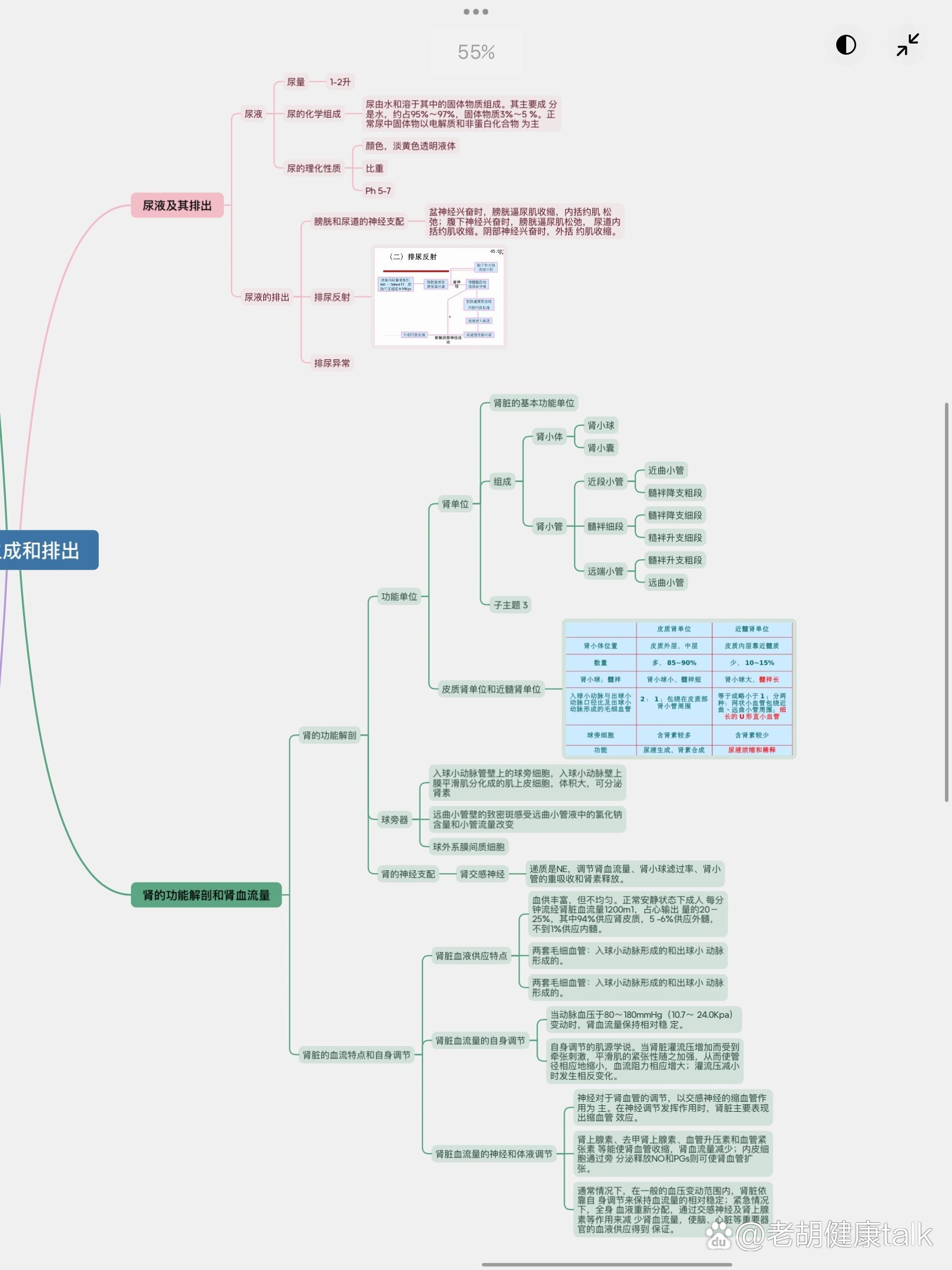 生理学思维导图尿的生成与排出