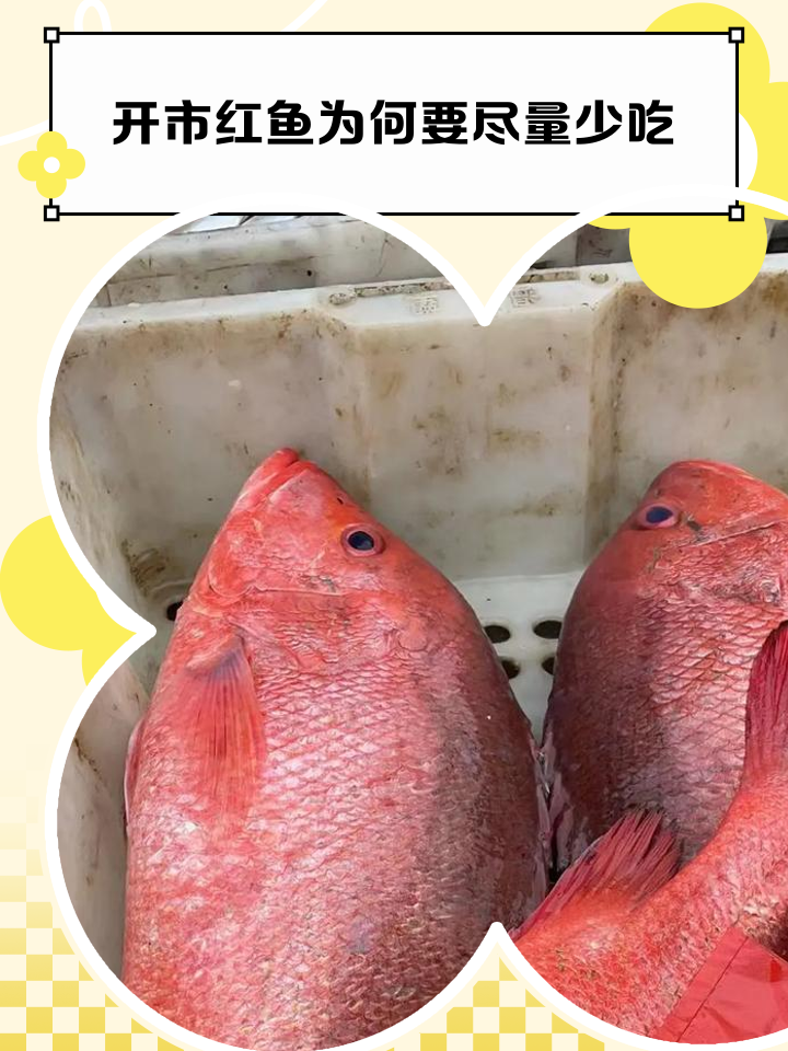 开市红鱼为何要尽量少吃