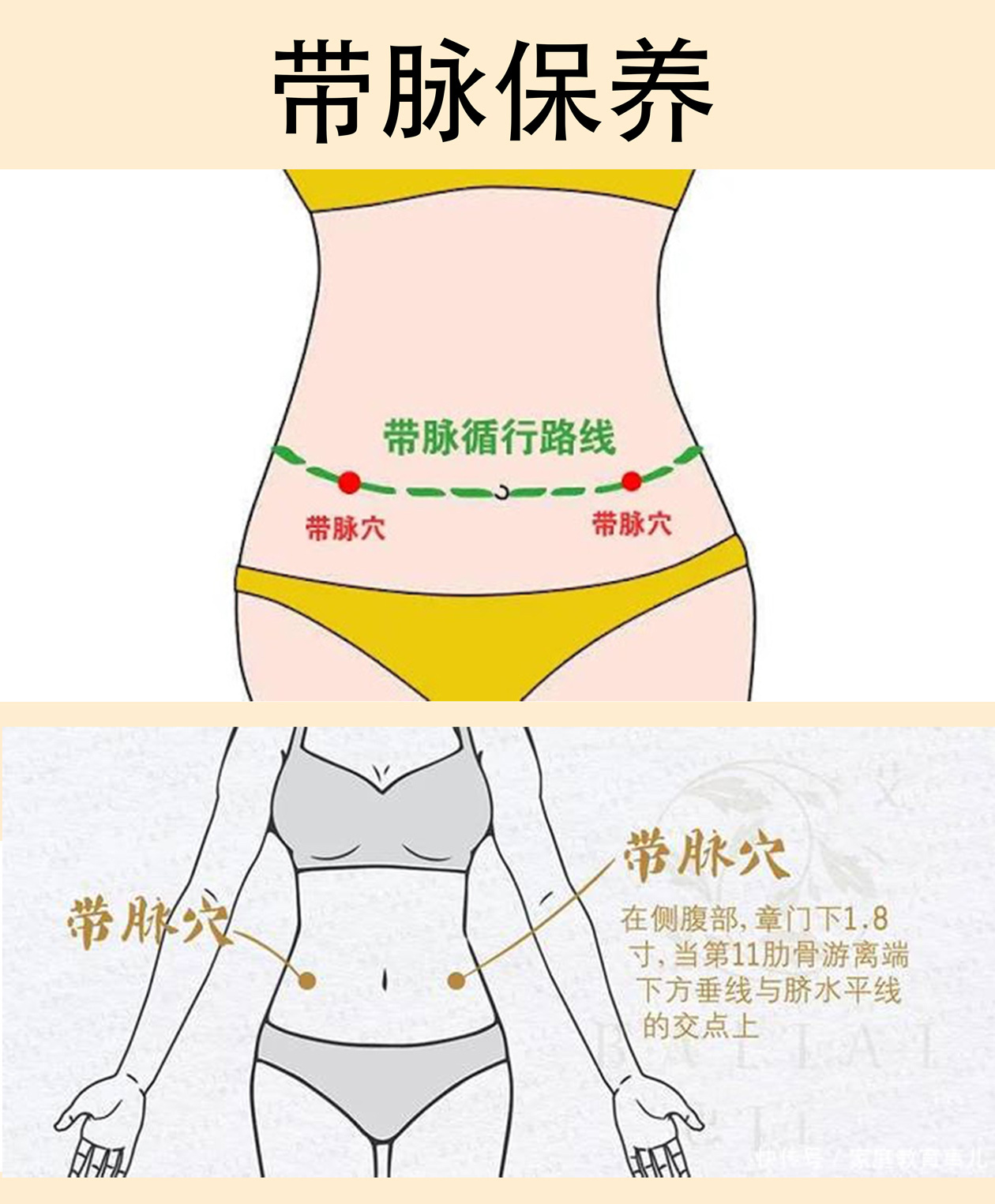 生命之带腰部保养很重要