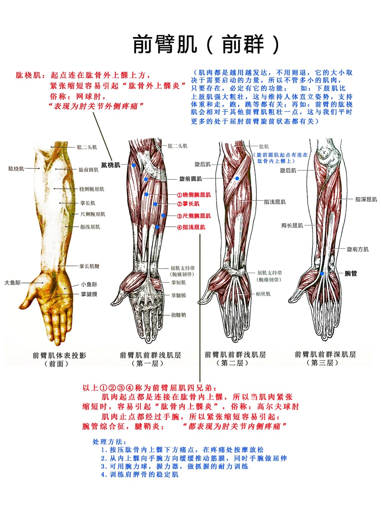 肱二头肌腱鞘炎的症状图片