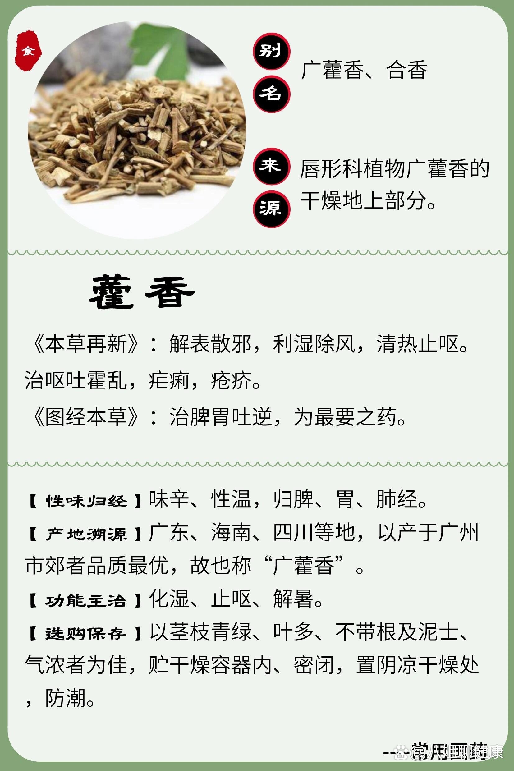 藿香蓟的功效药用图片