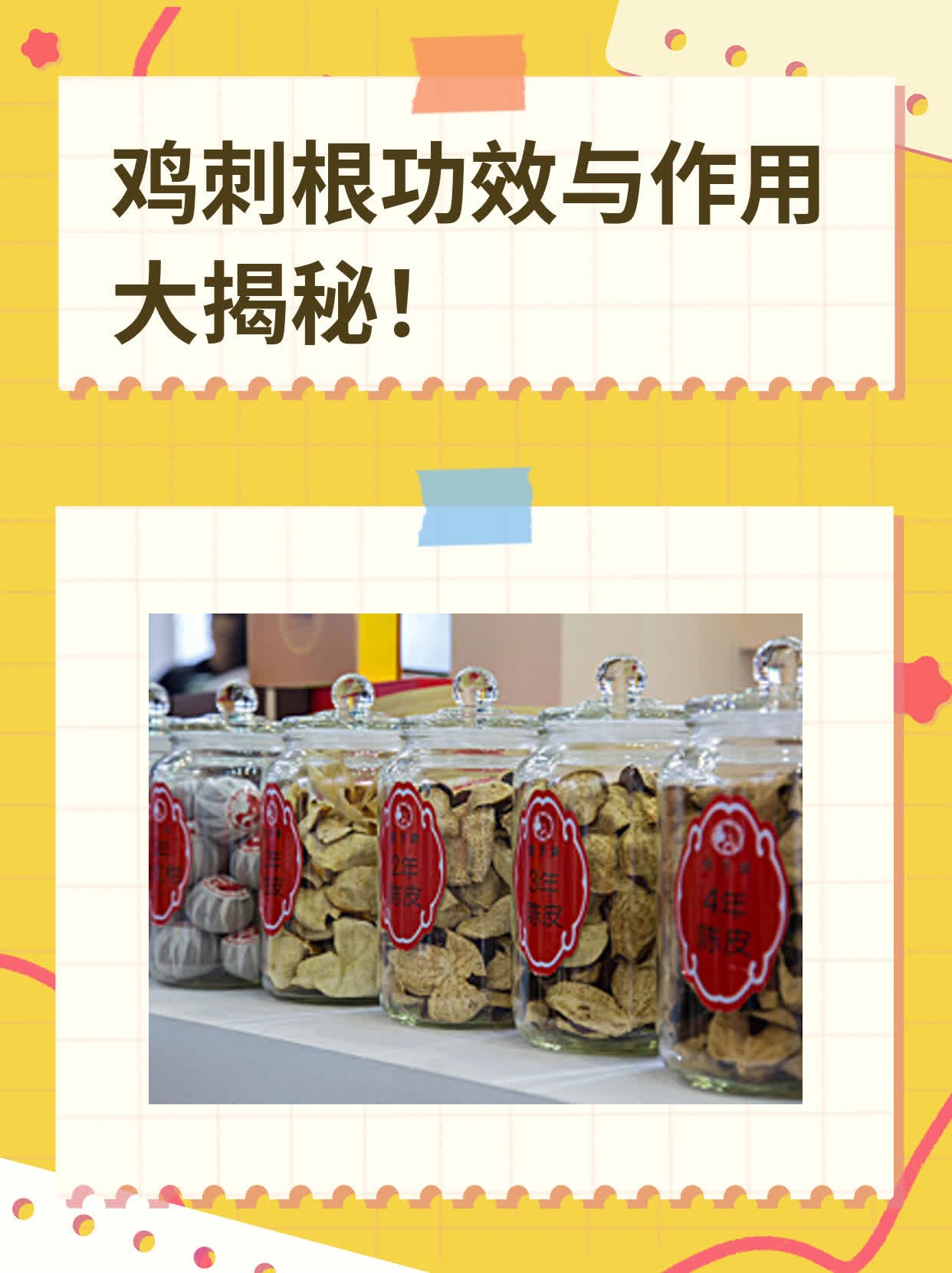 鸡刺根功效与作用大揭秘