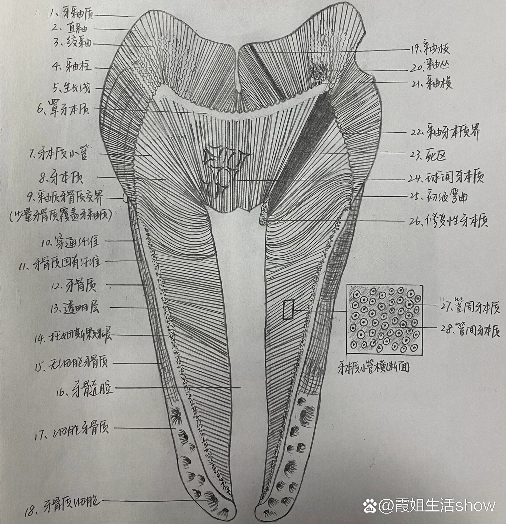 牙刷牙膏牙杯素描画图片