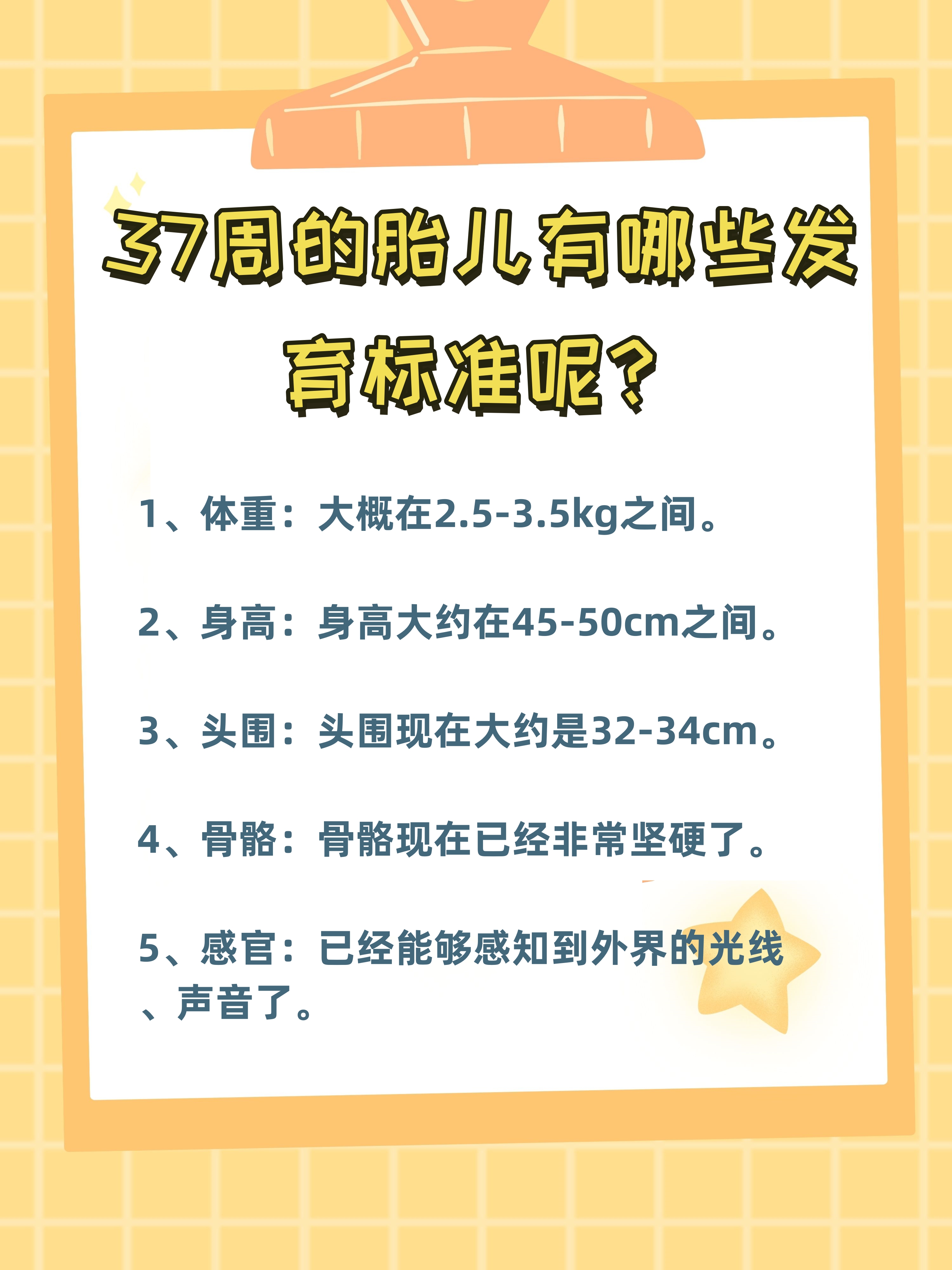 37周胎儿发育标准