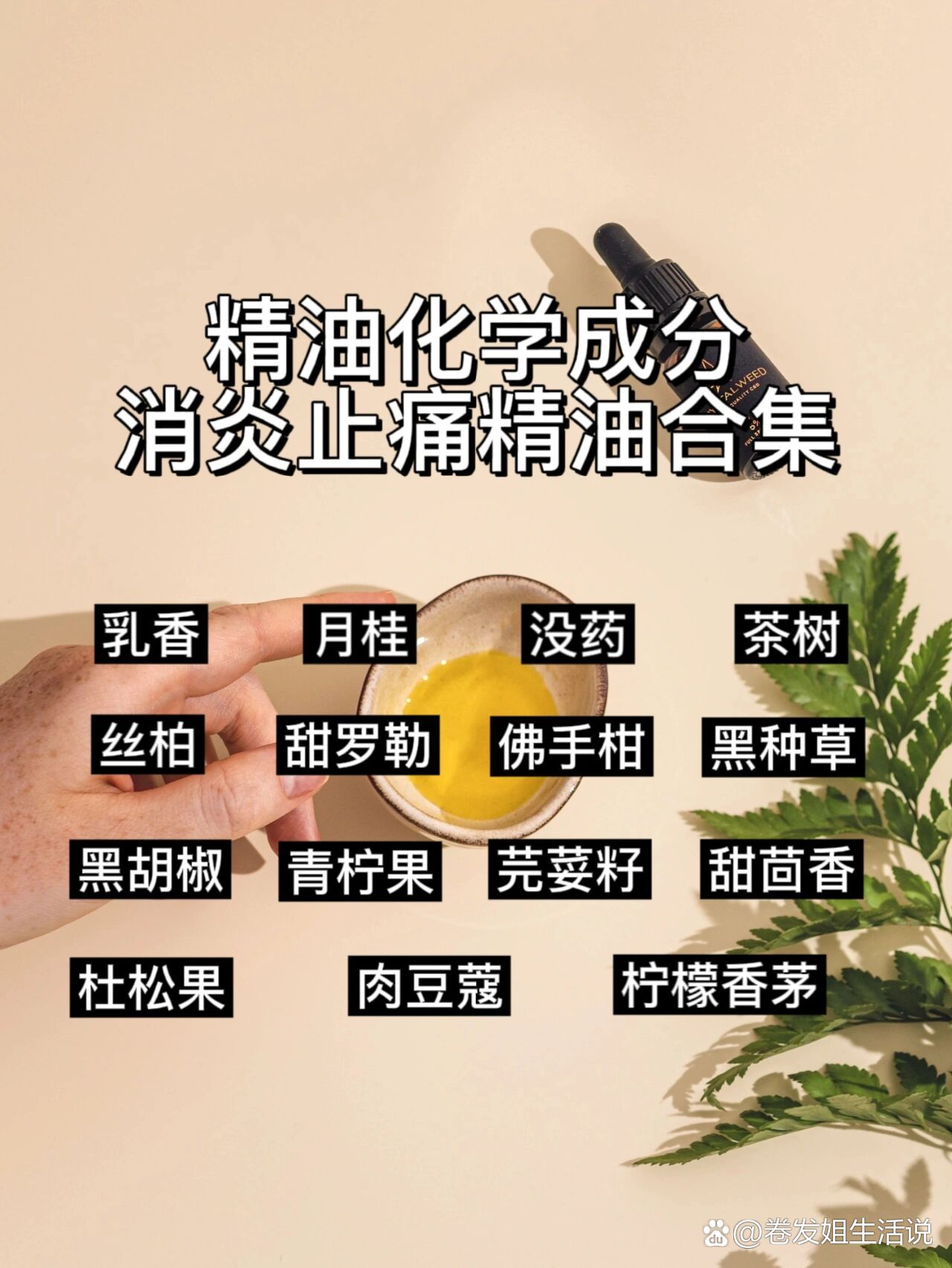 精油的化学成分丨消炎止痛精油合集