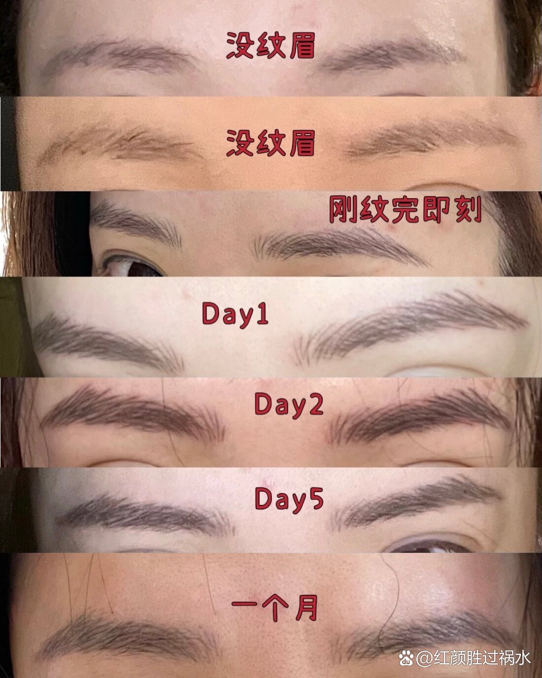 纹野生眉恢复过程全记录,第二天丑的睡不着