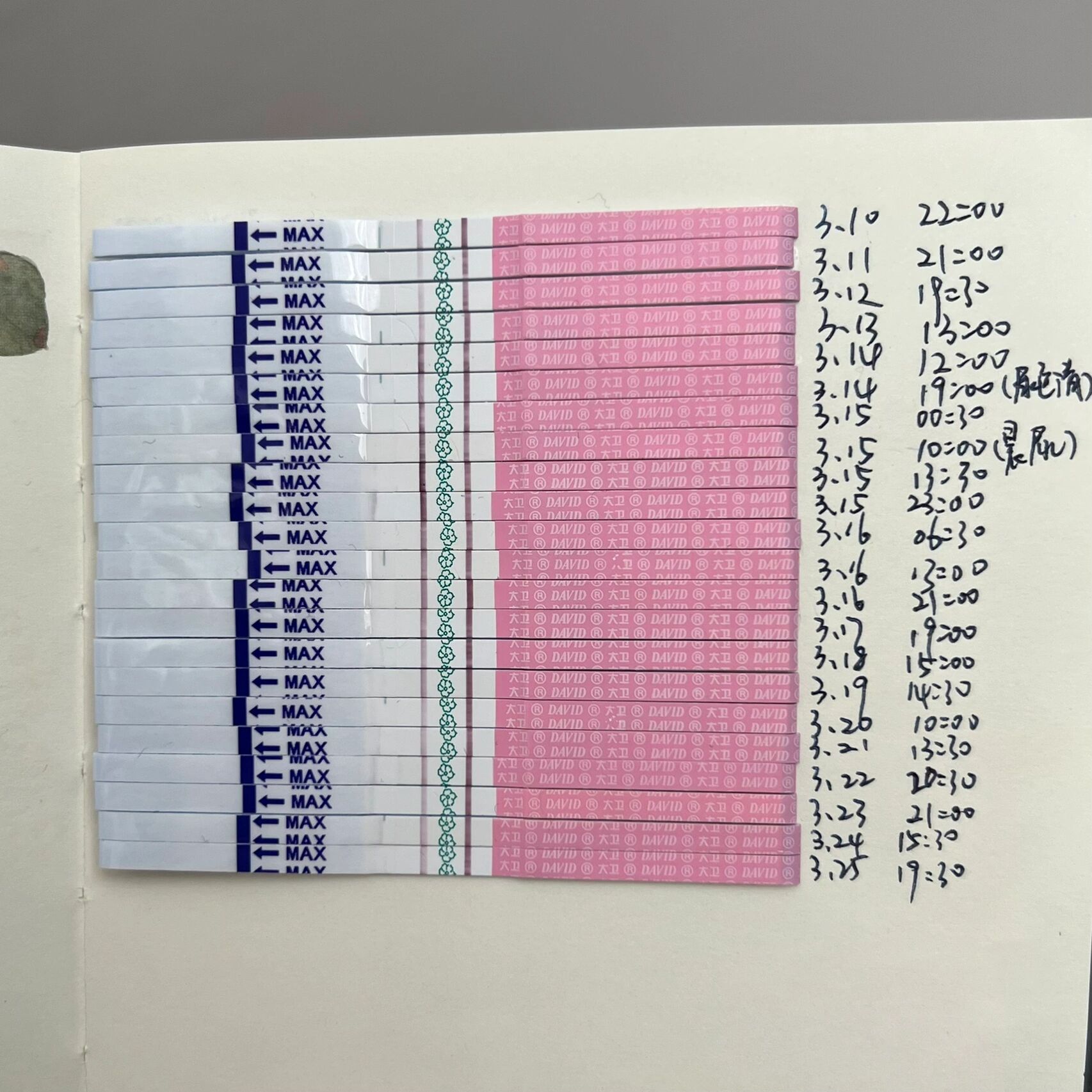 科学备孕的一个月丨大卫意念灰丨附早孕症状